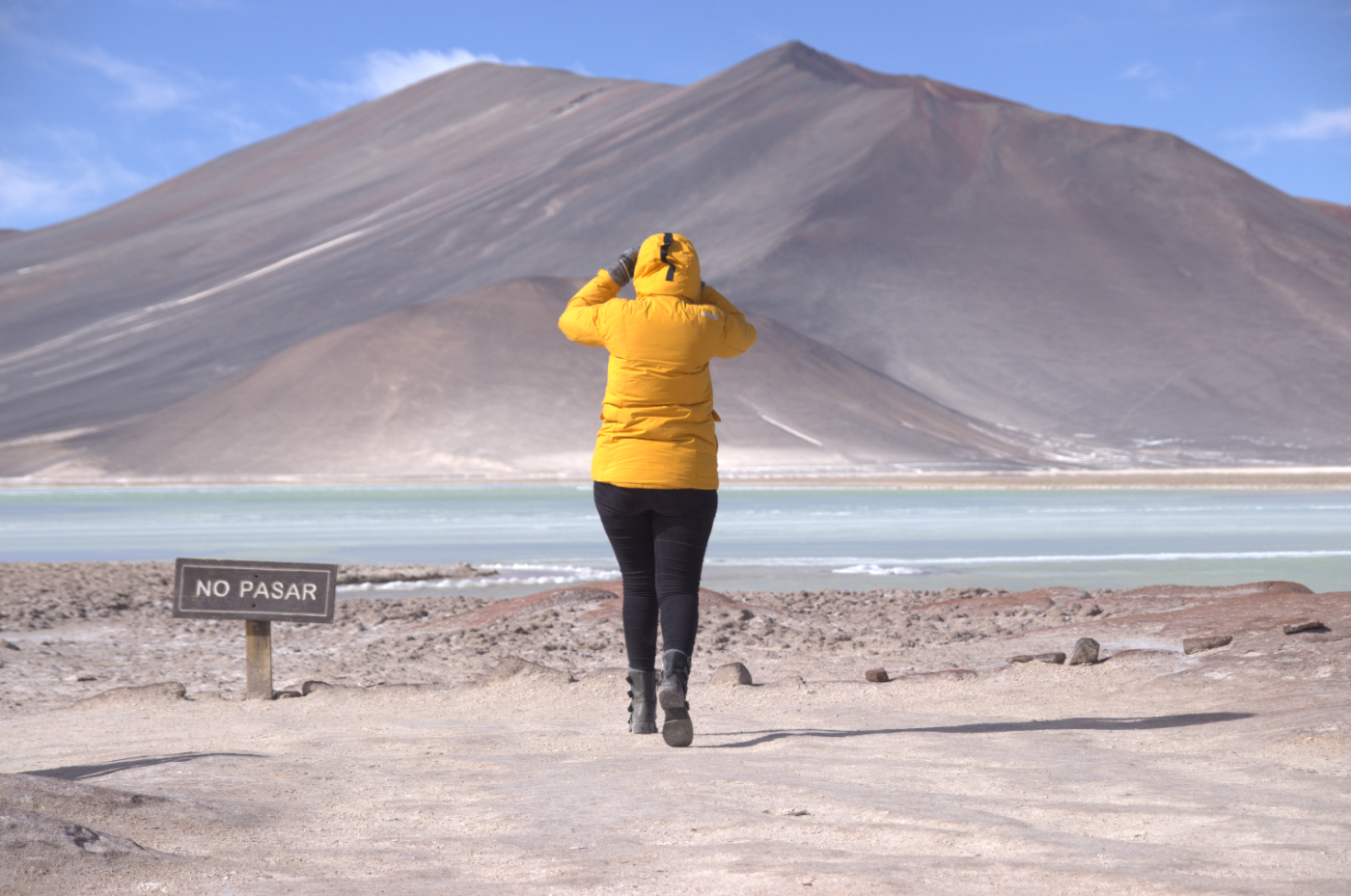 Tour Piedras Rojas y Lagunas Altiplánicas