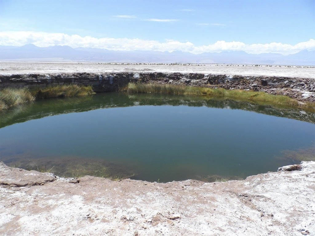 ojos del salar